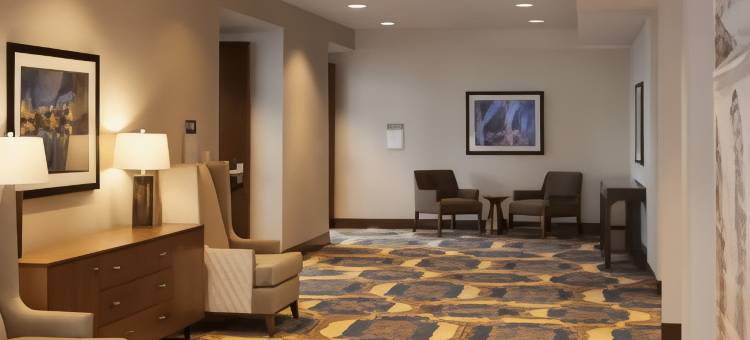 希尔顿花园酒店明尼阿波利斯大学区(Hilton Garden Inn Minneapolis University Area)图片