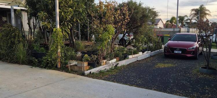 邦伯里最便利的位置(Bunbury's Most Convenient Location)图片