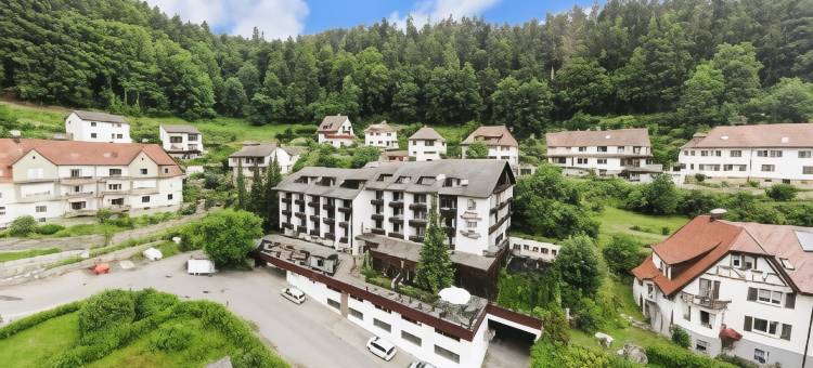 黑森林皇宫贝斯特韦斯特优质酒店(Best Western Plus Hotel Schwarzwald Residenz)图片