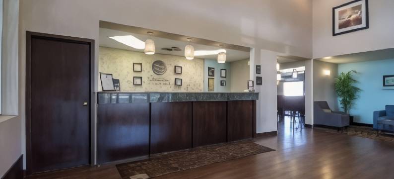 舒适套房酒店南机场店(Comfort Inn & Suites Airport South)图片