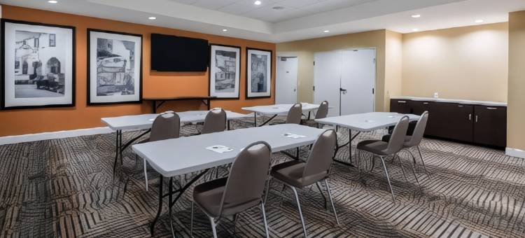 圣安东尼奥布鲁克斯城市基地希尔顿欢朋套房酒店(Hampton Inn & Suites San Antonio Brooks City Base Area)图片