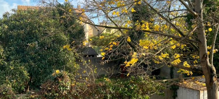 基里亚德酒店-阿让特伊(Kyriad Argenteuil)图片