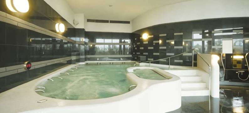 舞滨欧亚 Spa 酒店(Spa&Hotel Eurasia Maihama)图片