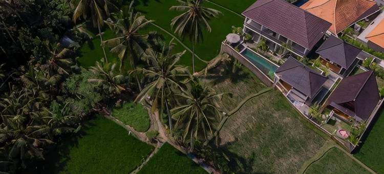 Tri Dewi Residence by Pramana Villas图片