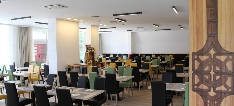 阿尔皮纳酒店(Hotel Alpina)图片