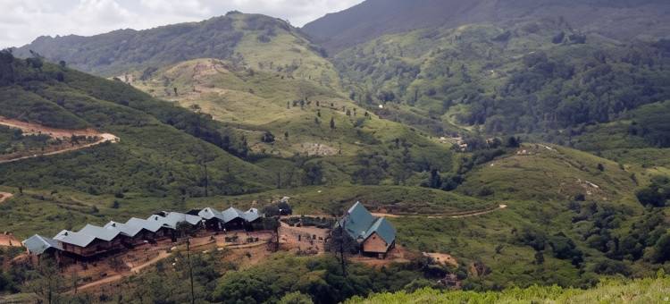 野生露营纳克尔斯(Wild Glamping Knuckles - Thema Collection)图片