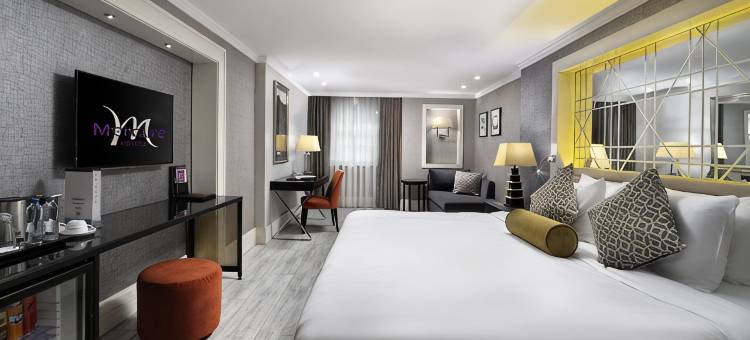 伊斯坦布尔博蒙蒂美居酒店(Mercure Istanbul Bomonti)图片