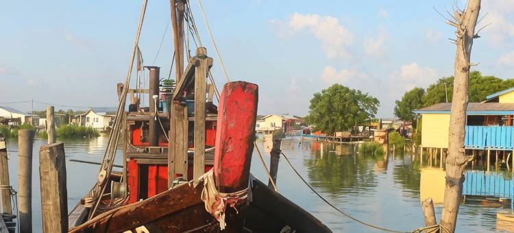 海狮吧罗吉岛平房民宿(Sea Lion Bungalow Homestay Pulau Ketam)图片