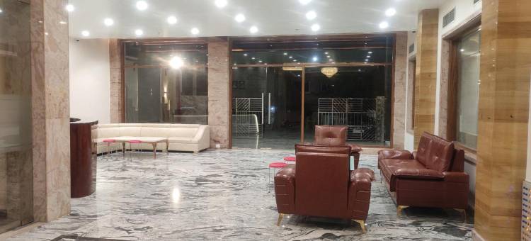 斯里希亚姆国际酒店(Hotel Shree Shyam International)图片