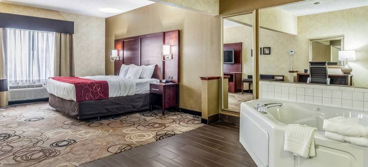 南菲尔德/底特律舒适套房酒店(Comfort Suites Southfield-Detroit)图片