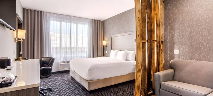 舒适套房酒店(Comfort Inn & Suites)图片
