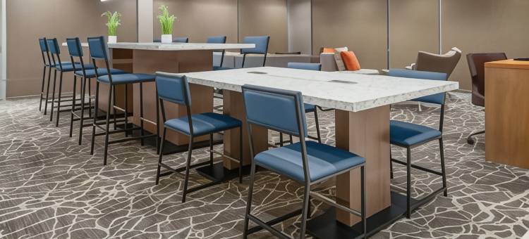 夏洛特亨特斯维尔SpringHill Suites酒店(SpringHill Suites Charlotte Huntersville)图片