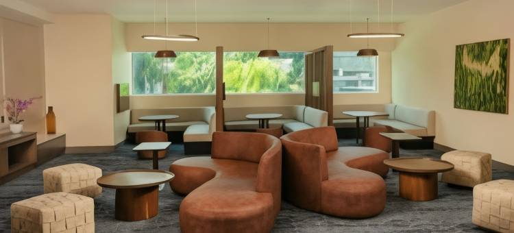 瓜达拉哈拉阿库厄杜克托温德姆花园酒店(Wyndham Garden Guadalajara Acueducto)图片