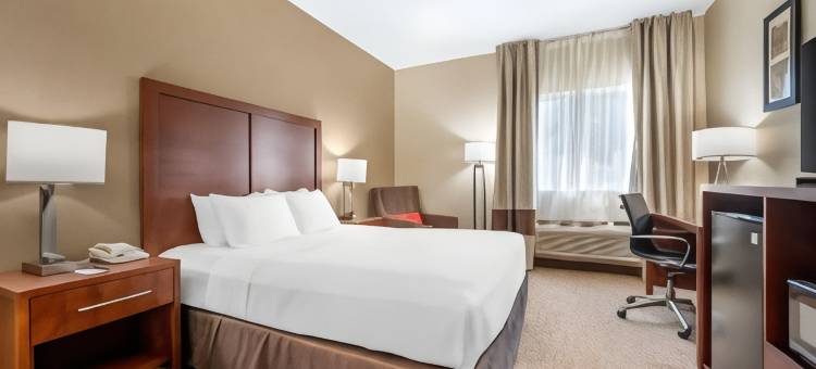 舒适酒店弗里蒙特(Comfort Inn Fremont)图片
