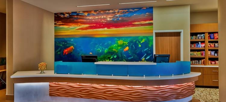 阿纳海姆主入口SpringHill Suites酒店(SpringHill Suites Anaheim Maingate)图片