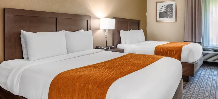 舒适套房酒店(Comfort Inn & Suites)图片