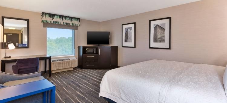 希尔顿欢朋套房酒店-弗林特大布兰克(Hampton Inn & Suites Flint/Grand Blanc)图片