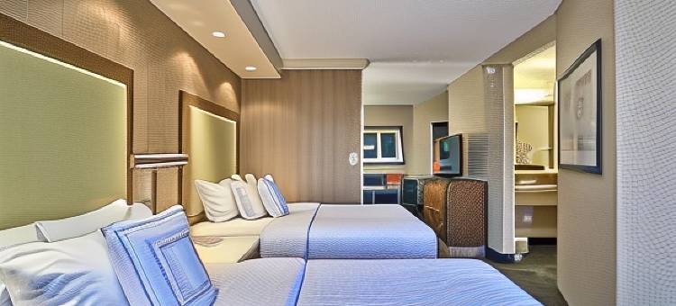 底特律南菲尔德万豪SpringHill酒店(SpringHill Suites Detroit Southfield)图片