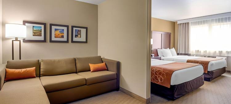 伯灵顿舒适套房酒店(Comfort Suites Burlington)图片