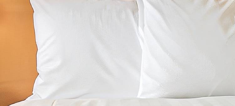 Holiday Inn Express 克拉马斯(Holiday Inn Express Klamath - Redwood Ntl PK Area)图片