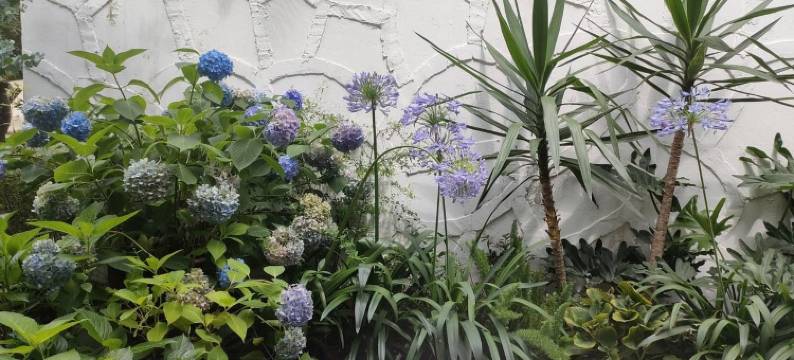 白鹿镇星空民宿(樵人街分店)图片