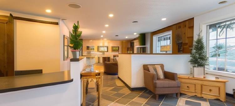 林地旅店(Woodland Inns)图片