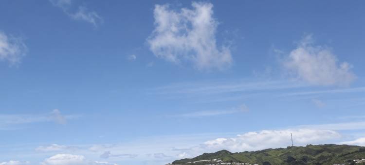 惠灵顿贝斯特韦斯特酒店(Best Western Wellington)图片