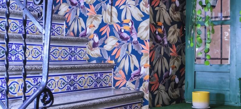 巴比耶里格拉纳达旅馆(Barbieri Granada Pension)图片