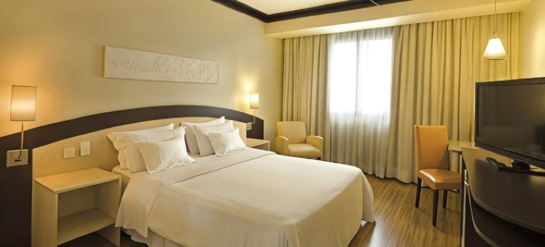 南卡希亚斯天鹅酒店(Swan Caxias do Sul)图片