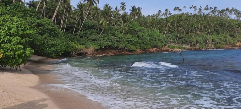 帕拉凡迪旅馆(Pravindi Guest Home)图片