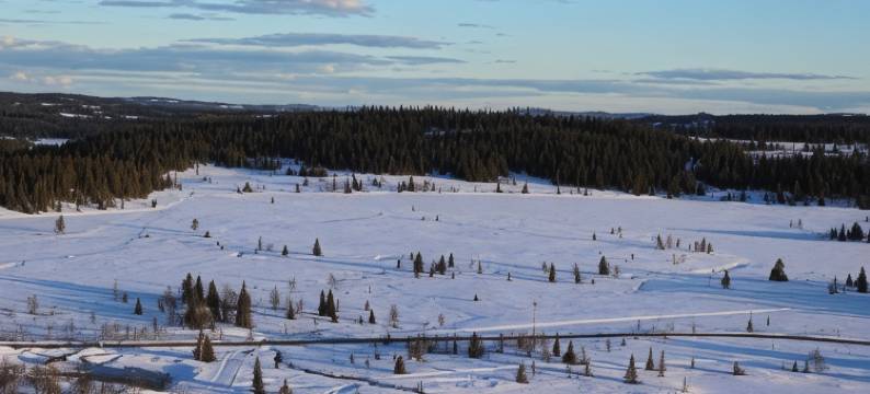 Gamlestølen Fjellstue图片