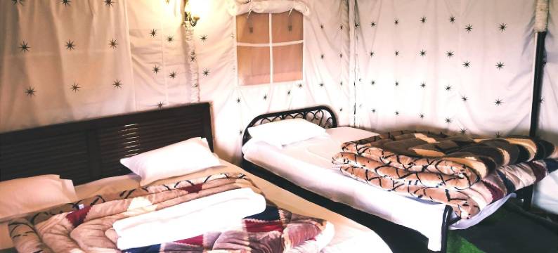 松树先锋生态度假村(Pine pioneer the eco resort)图片