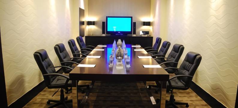 南太阳OR塔波国际机场酒店(Southern Sun or Tambo International Airport)图片