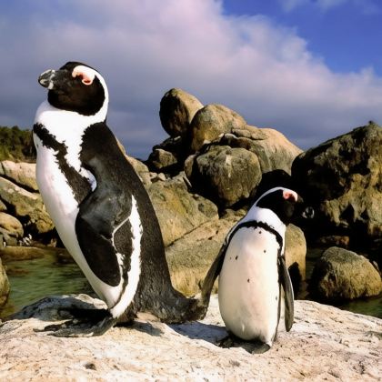 南非12日9晚跟团游