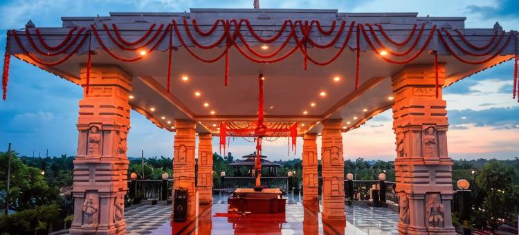 梅菲尔Purnea(Mayfair Purnea)图片