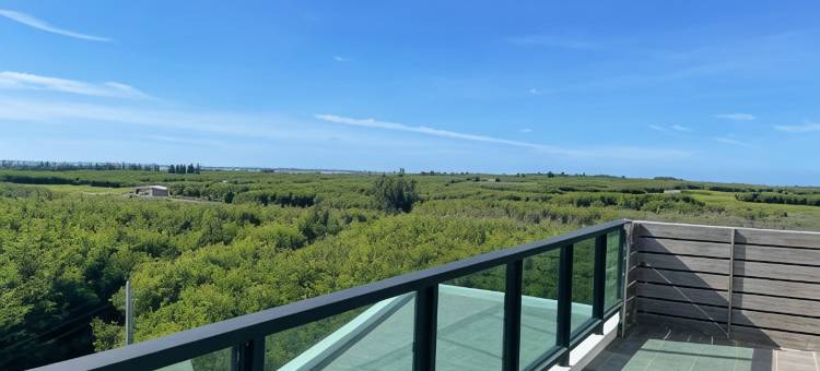 诺亚方舟民宿图片