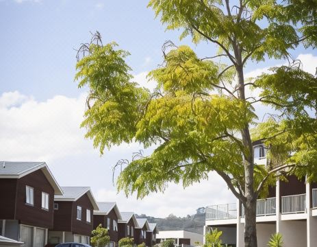 Oceans Resort Whitianga Hotel Overview