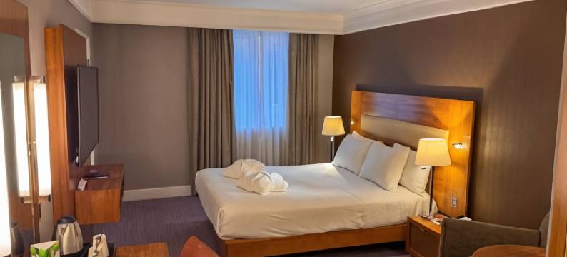 北纽伯里希尔顿逸林酒店(Orida Hotels Newbury)图片