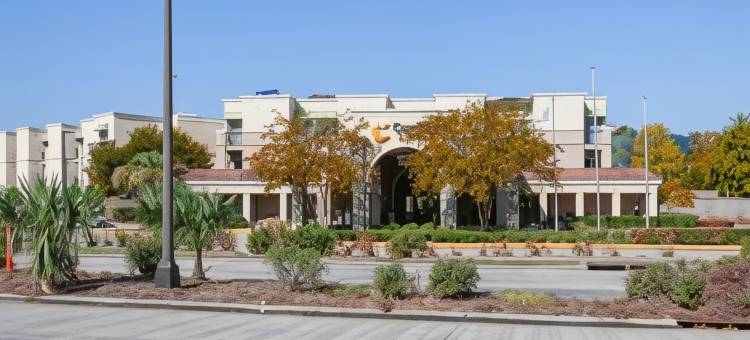 康福特套房巴吞鲁日南部I-10(Comfort Suites Baton Rouge South I-10)图片