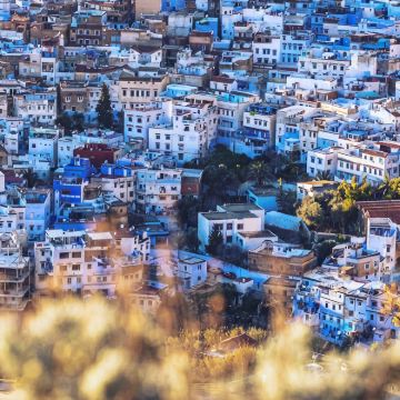 摩洛哥+突尼斯11日拼小团