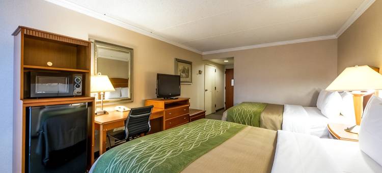 阿纳海姆度假村舒适酒店(Comfort Inn Anaheim Resort)图片