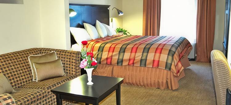 酒吧湾贝斯特韦斯特酒店(Best Western Bar Harbour Inn)图片