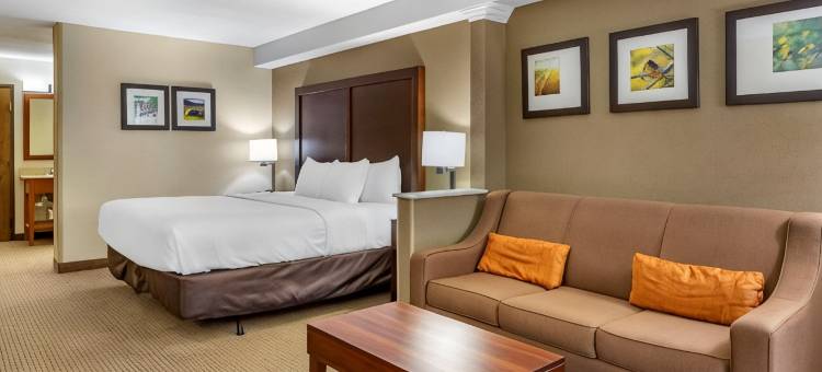 舒适套房酒店-近丹维尔购物中心(Comfort Inn & Suites Near Danville Mall)图片