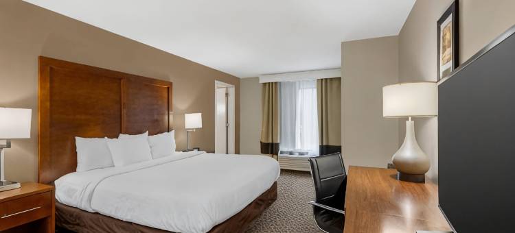 舒适套房旅馆(Comfort Inn & Suites)图片
