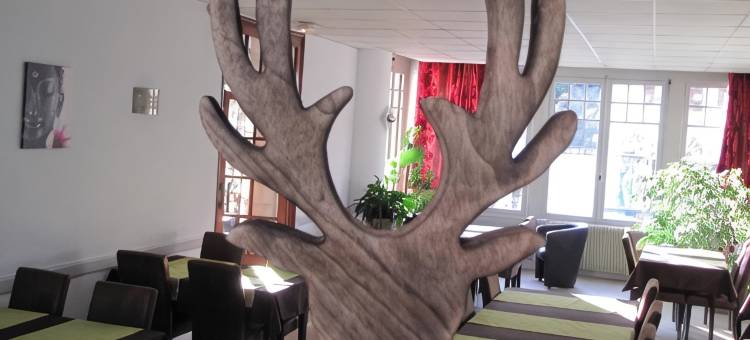 鹿之家酒店(Logis Hotel le Cerf)图片