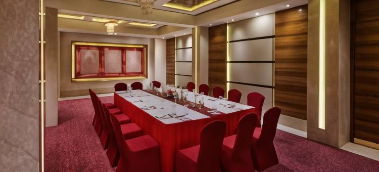 纳格浦尔傲世酒店(The Pride Hotel, Nagpur)图片