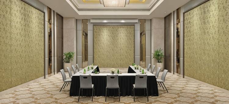 塔吉天际线艾哈迈达巴德酒店(Taj Skyline Ahmedabad)图片