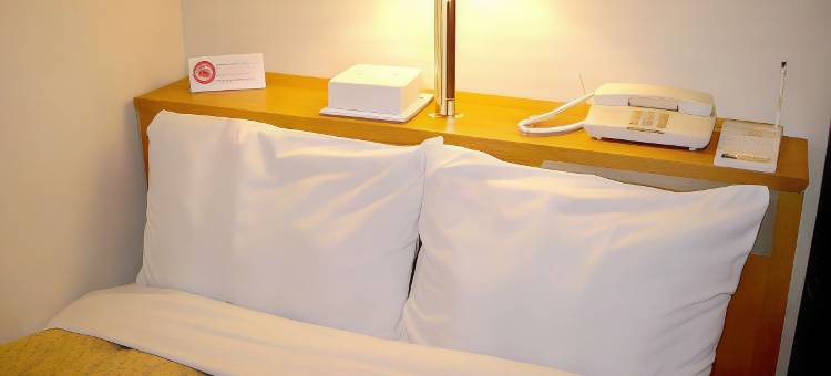 冈谷皇冠山酒店(Hotel Crown Hills Okaya)图片