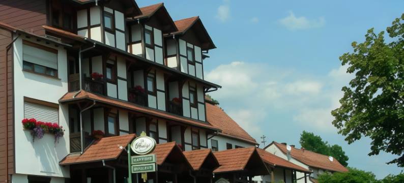 麦蒙特布里克酒店(Blick Zum Maimont)图片