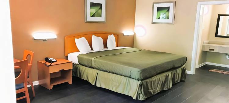 OYO 塔拉哈西市中心酒店汽车旅馆(OYO Hotel Tallahassee Downtown)图片